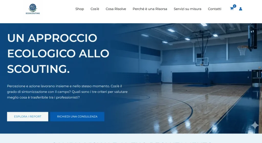 E-commerce di EcoScouting, scouting nel basket